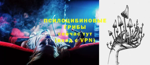 круглые Абаза