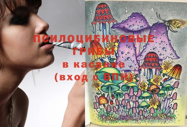 винт Алзамай