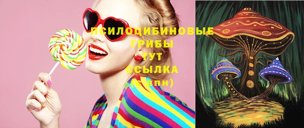 винт Алзамай