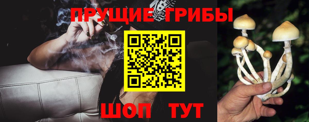 Псилоцибиновые грибы ЛСД Уфа